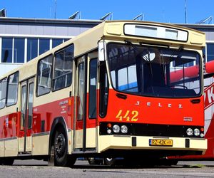 Zabytkowe autobusy opanują Rzeszów. Bezpłatne przejazdy i parada ulicami miasta
