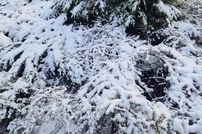 -20 stopni, śnieg i jeszcze to! Paskudna zima w Polsce