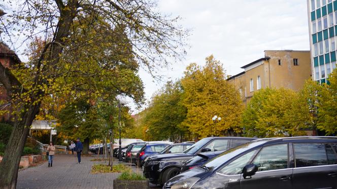 Kolorowe drzewa i klimatyczne kamienice. Ta ulica w Olsztynie zachwyca jesienią