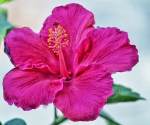 Życzenia imieninowe dla Anieli. Okaż jej swoje uczucia, wysyłając życzliwe słowa