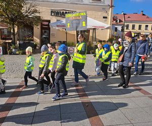 Odblaskowa Szkoła 2025 - akcja w Tarnowie