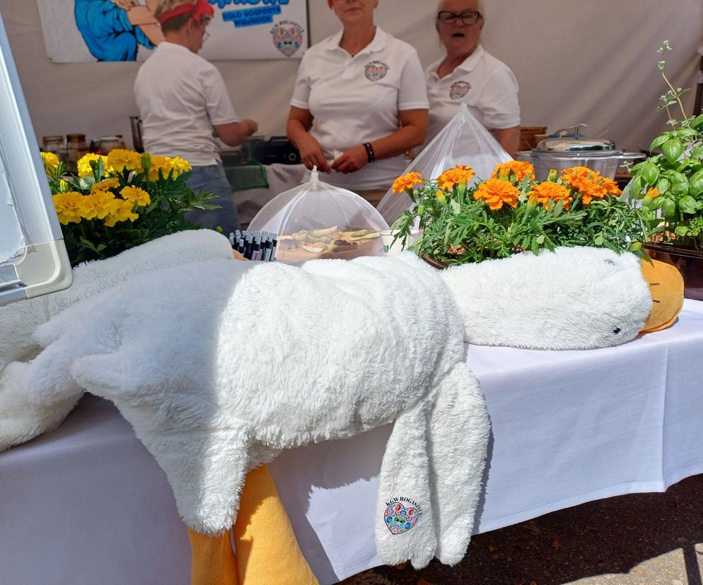 Było ... smacznie, gwarno i bardzo tłoczno! Za nami Ogólnopolski Festiwal Pasztetników i Potraw z Gęsi