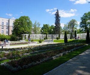 Różanka w Parku Planty po remoncie