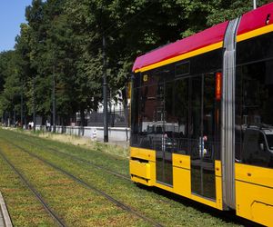 Zielone torowiska