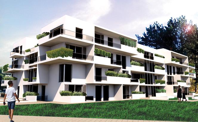 Prace dyplomowe studentek architektury Politechniki Rzeszowskiej