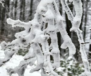 Pierwszy śnieg w Bieszczadach