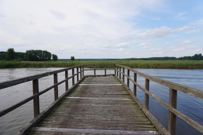 Podlaska Atlantyda, czyli Zalew Siemianówka i okolice