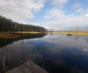 Jezioro Żabiniec. Świętokrzyskie torfowisko otoczone bagnami