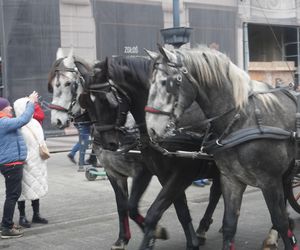 Wielka Szarża w centrum Łodzi. Oddziały konne przeszły przez Piotrkowską