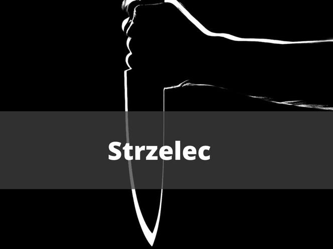 3. Strzelec 