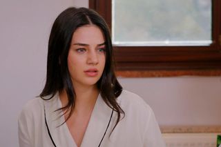 Miłość i nadzieja, odcinek 277. Bahar, Kuzey