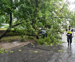 Nawałnice przechodzą przez Polskę. 2659 zdarzeń do godz. 19