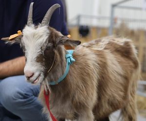 ZooPark ponownie przyciągnął do Targów Lublin tłumy miłośników zwierząt