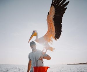 Kolory Świata – wystawa fotograficzna Victor Borsuka. Szczegóły wydarzenia