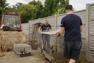 Rolnicy. Podlasie. Emilia Korolczuk i jej Ranczo Laszki