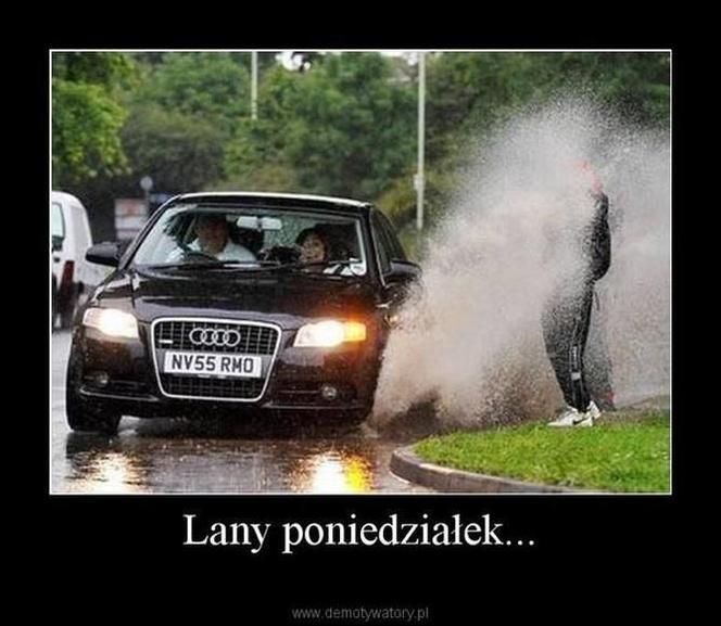 memy lany poniedziałek