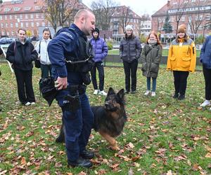 Trening psów ze studentami