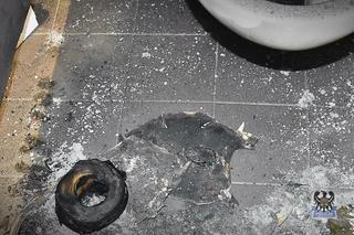 Zamknęli się w toalecie i zrobili coś niewiarygodnego