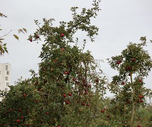 Jesienna odsłona terenów nad Bystrzycą w Lublinie. Tak się prezentuje w październiku