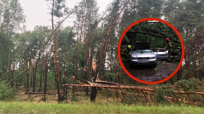 Potężna nawałnica przeszła przez woj. lubelskie. Straty są ogromne, jedna osoba jest ranna [ZDJĘCIA]