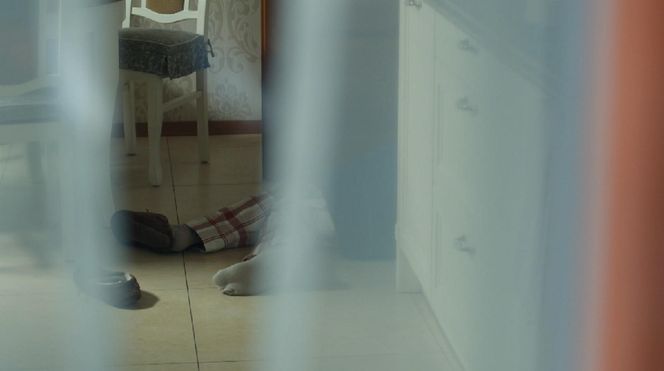 Barwy szczęścia, odcinek 3178. Henryk (Zbigniew Suszyński)