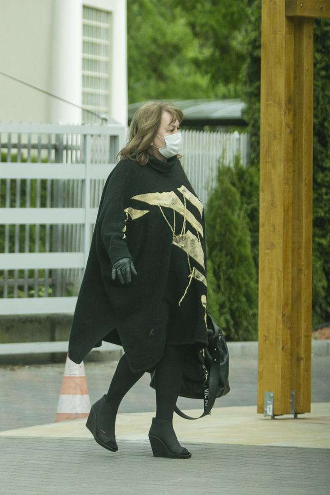 Daniel Olbrychski: Kowboj z Podkowy Leśnej