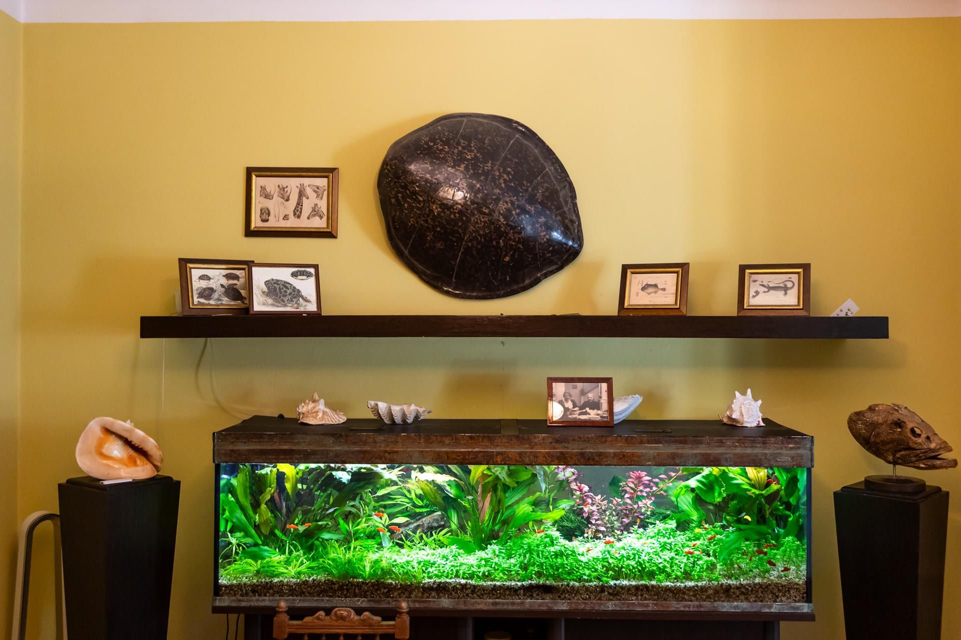 Willa Żabińskich w warszawskim ZOO czyli willa Pod Zwariowaną Gwiazdą