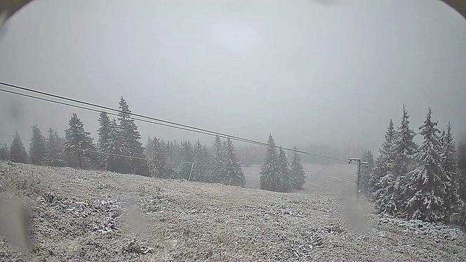 Pierwszy śnieg spadł w Beskidach na Babiej Górze i w Korbielowie
