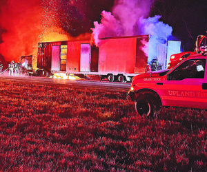 Ratowali zebry na autostradzie