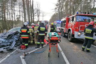 Przasnysz. Auto z kobietą i dzieckiem uderzyło w drzewo! Później spadł na nie pień! [ZDJĘCIA]