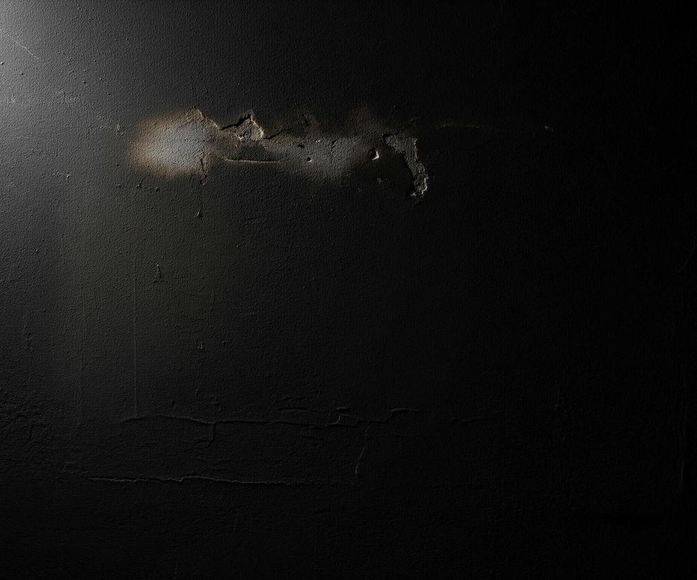 Ciemna, ziarnista powierzchnia, prawdopodobnie ściana, dominuje obraz. W lewym górnym rogu znajduje się jasna plama światła, rozpraszająca się w dół i w prawo, stopniowo zanikająca w głębokiej czerni. Nieco poniżej centrum, na lewo od środka, widoczne są nieregularne, jaśniejsze fragmenty, sugerujące uszkodzenia lub nierówności powierzchni, z ciemniejszymi obrysami. Reszta kadru jest prawie całkowicie ciemna, z minimalnymi detalami tekstury widocznymi jedynie w obszarach najjaśniejszych.