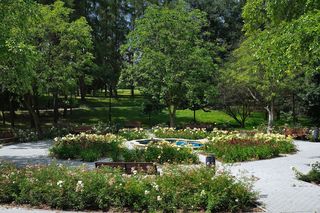 Dzielnica Mistrzejowice w Krakowie