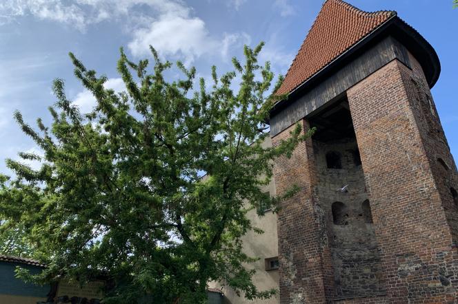 Lublin: Baszta gotycka na Starym Mieście dostanie nowe życie