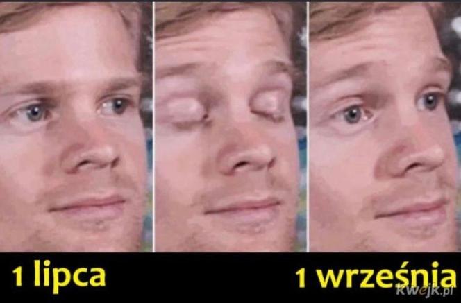 Rok szkolny tuż tuż! Zobacz najlepsze memy o końcu wakacji