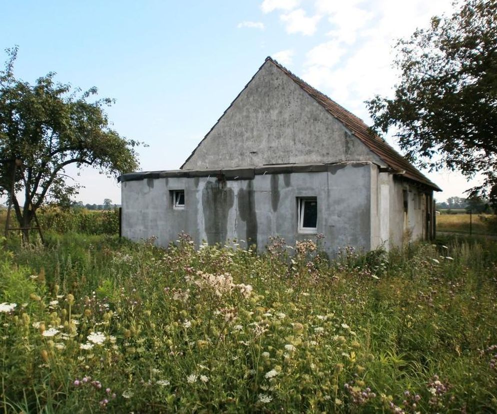 Przebudowa obory