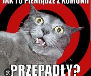 Memy komunijne