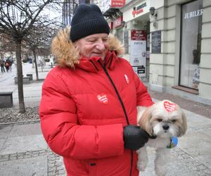 32. Finał WOŚP w Kielcach. Tak Orkiestra grała na deptaku i Placu Artystów