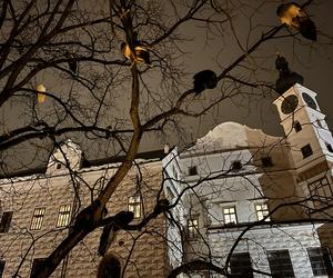 Zamek Pardubice - zdjęcia cennego zabytku Wschodnich Czech. Wnętrza, muzeum, zamek nocą