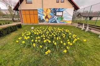 Najdłuższa miejscowość w Świętokrzyskiem. Brzeziny 