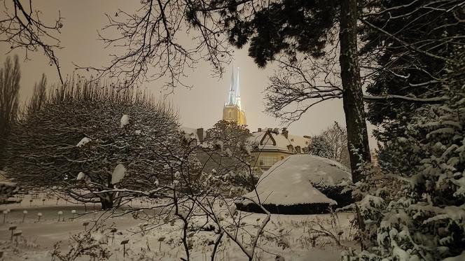 Ostrów Tumski we Wrocławiu w zimowej odsłonie. To miejsce trzeba odwiedzić [zdjęcia]