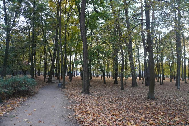 Park Lubomirskich w Białymstoku jesienią 