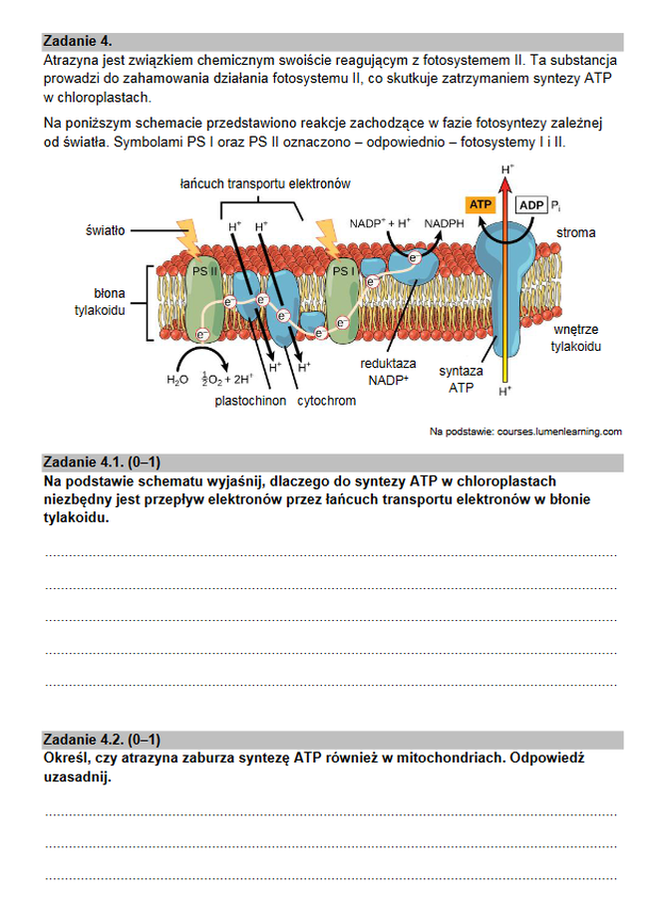 Matura rozszerzona 2022 biologia