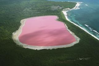 Różowe jeziora zachwycają turystów. Skąd bierze się ich pastelowa barwa? [GALERIA]