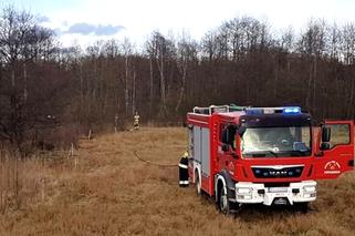 Pożar trzcin nad Czarną Hańczą