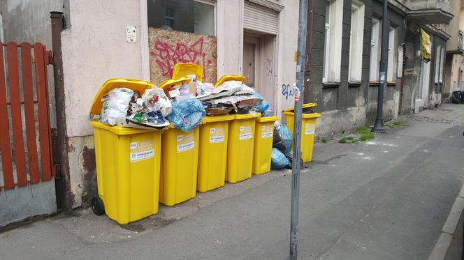 Bydgoszczanie mają już dość! Wciąż toną w śmieciach!