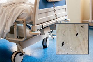 Obrazy grozy w jednym ze szpitali. Pacjentka pozostawiona we własnym kale, na podłodze odchody gryzoni