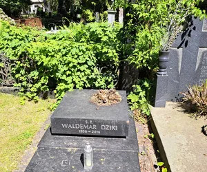 Smutny widok na grobie byłego męża Małgorzaty Foremniak. Aż chce się płakać