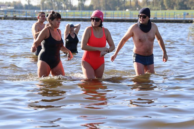 Lubelskie morsy wskoczyły do Zalewu Zemborzyckiego po raz pierwszy w tym sezonie!