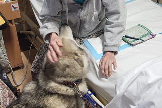 Czworonogi w Stowarzyszeniu Hospicjum Łódzkie