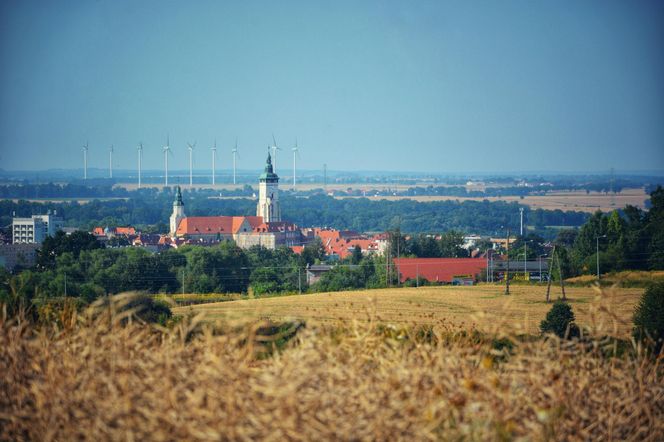 Złotoryja